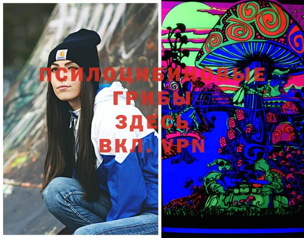 кокс Инсар