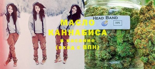 трава Инта