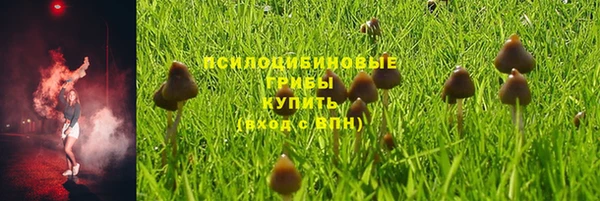 mdpv Иннополис