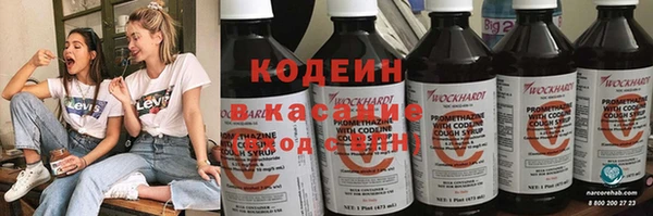трава Инта
