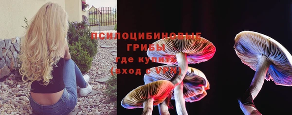 кокс Инсар