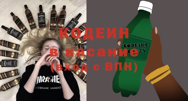 трава Инта