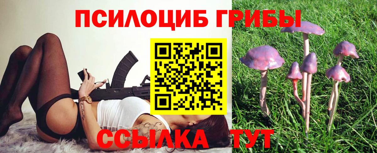Галлюциногенные грибы мухоморы  Псилоцибиновые грибы GOLDEN TEACHER  Карасук  Вход с VPN 