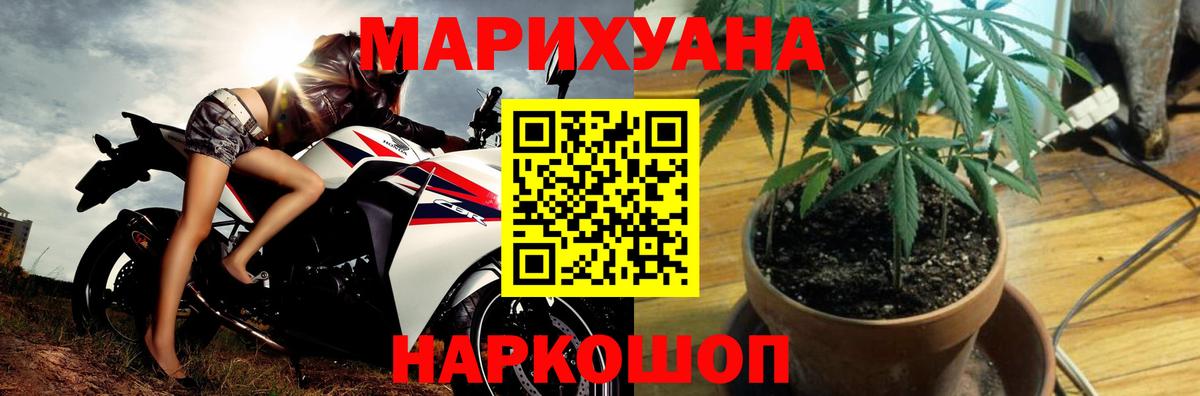 Шишки марихуана AK-47  МАРИХУАНА сатива  Карасук  Бошки Шишки White Widow  Вход с VPN  Бошки марихуана SATIVA & INDICA 